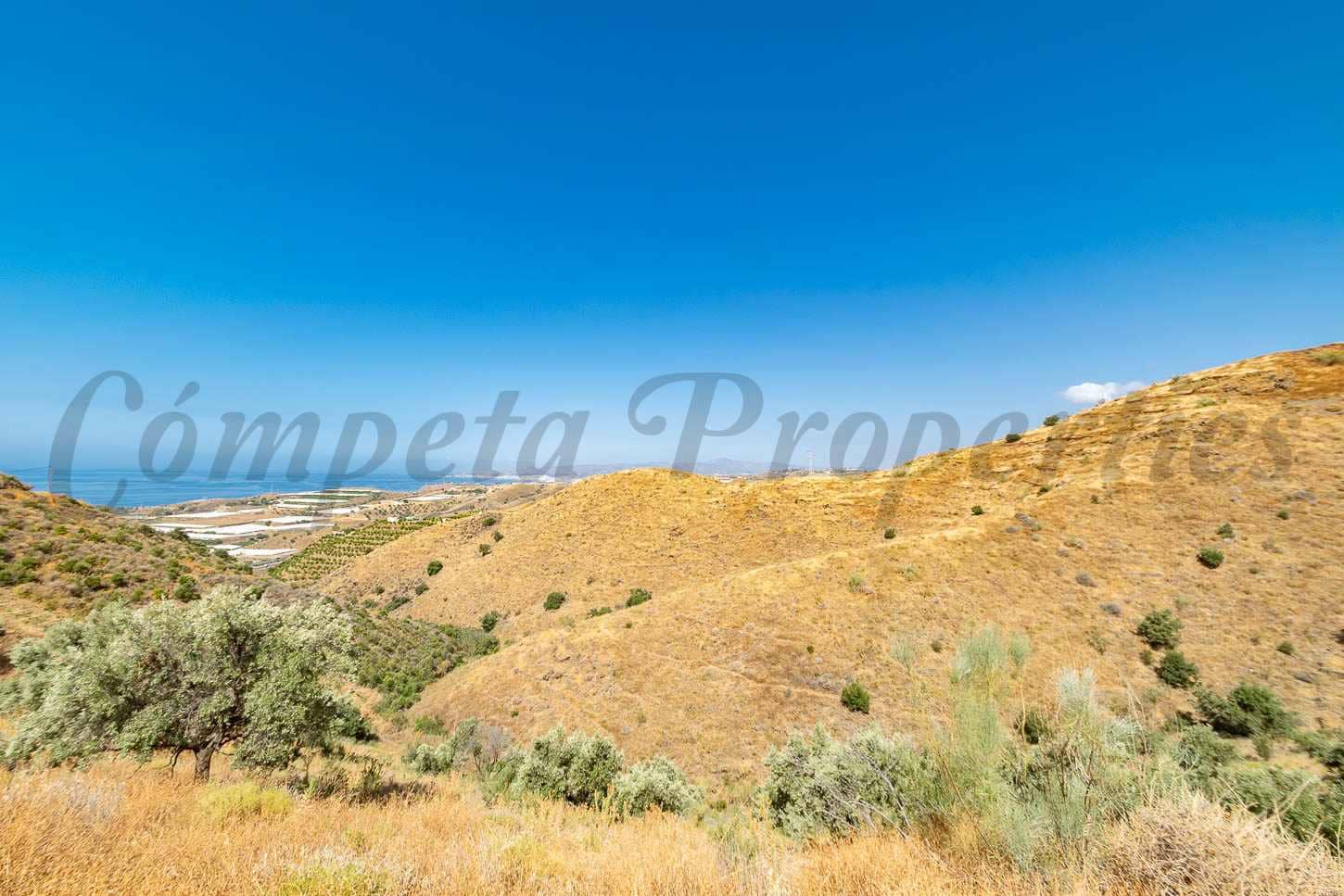 Terre non Aménagée à vendre à Torrox-Costa - 20 000 € (Ref: 9158254)