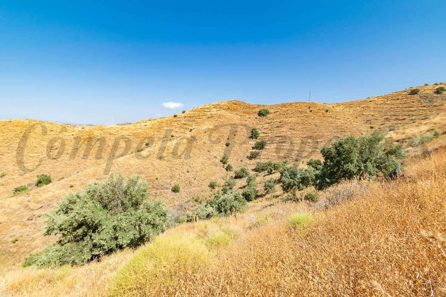 Terre non Aménagée à vendre à Torrox-Costa - 20 000 € (Ref: 9158254)