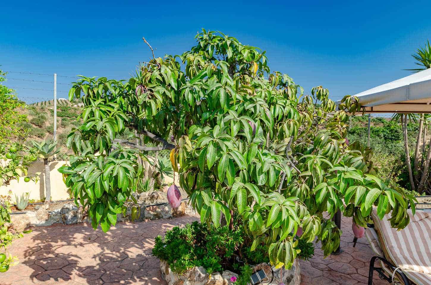 3 soveværelse Finca/Landehus til salg i Almayate med swimmingpool - € 480.000 (Ref: 9245644)