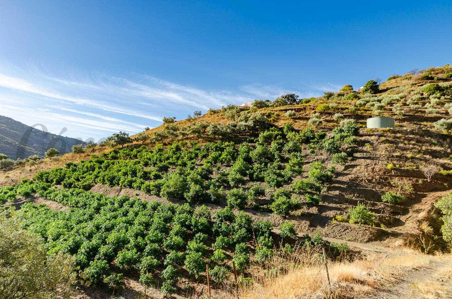 2 soverom Villa til salgs i Competa med svømmebasseng - € 450 000 (Ref: 9336996)