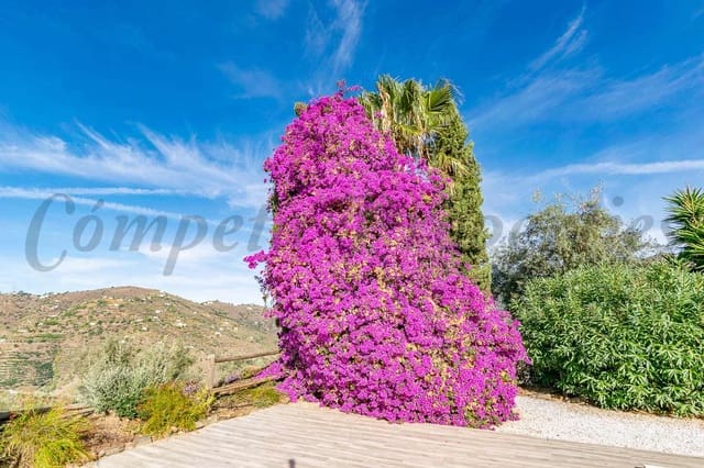 3 slaapkamer Villa te koop in Cómpeta met zwembad - € 445.000 (Ref: 9360590)