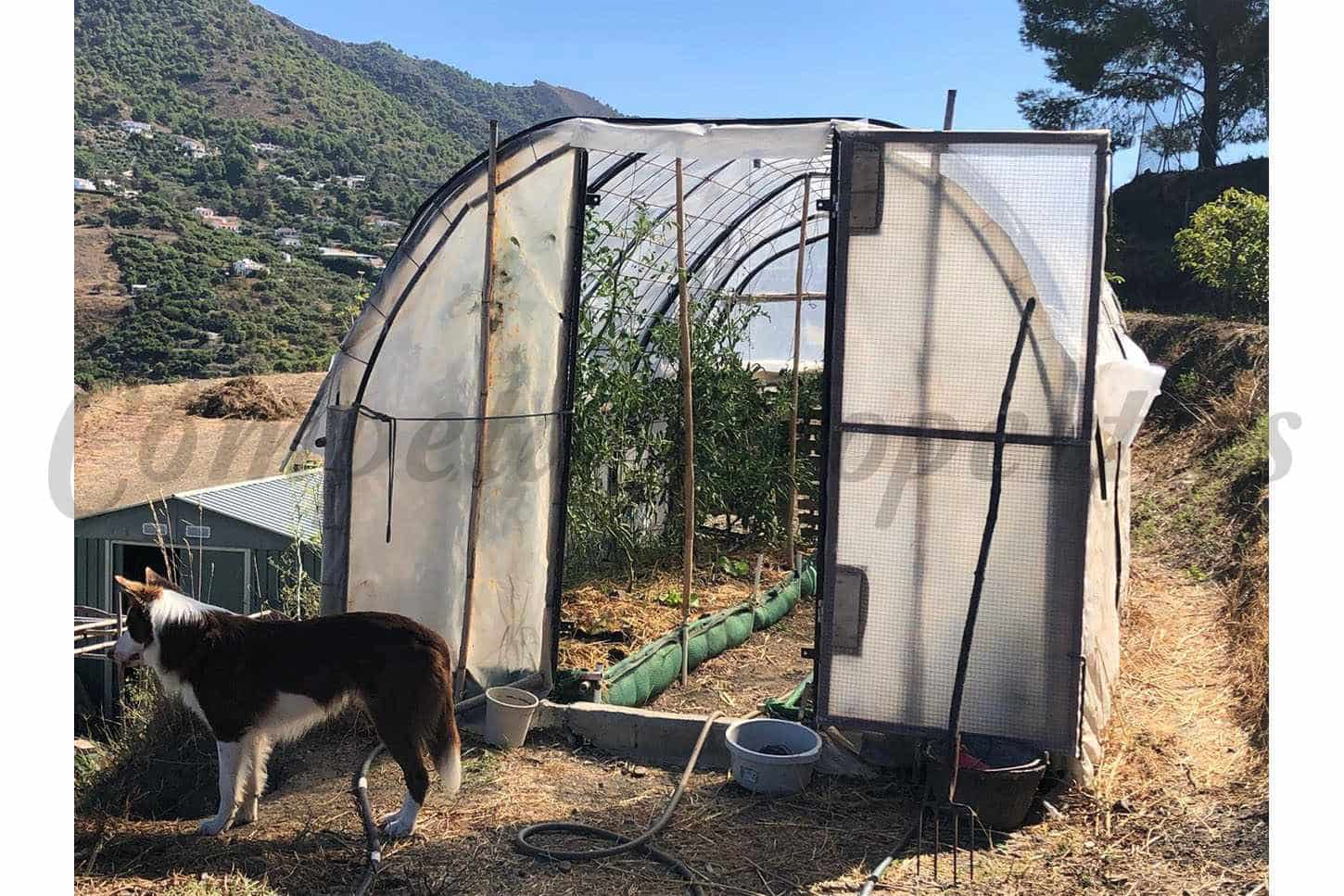 Mark till salu i Torrox - 235 000 € (Ref: 9395403)