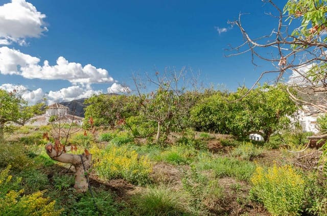 Rakentamaton maa myytävänä paikassa Canillas de Albaida - 110 000 € (Ref: 9410090)