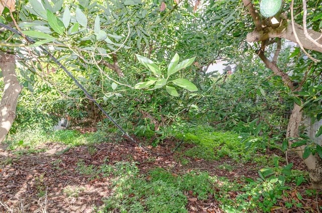 Rakentamaton maa myytävänä paikassa Canillas de Albaida - 110 000 € (Ref: 9410090)