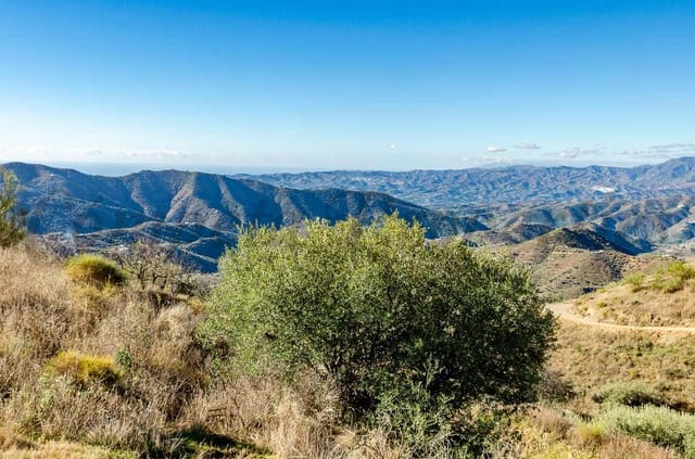 Finka/Dom wiejski na sprzedaż w Sedella - 395 000 € (Ref: 9470023)