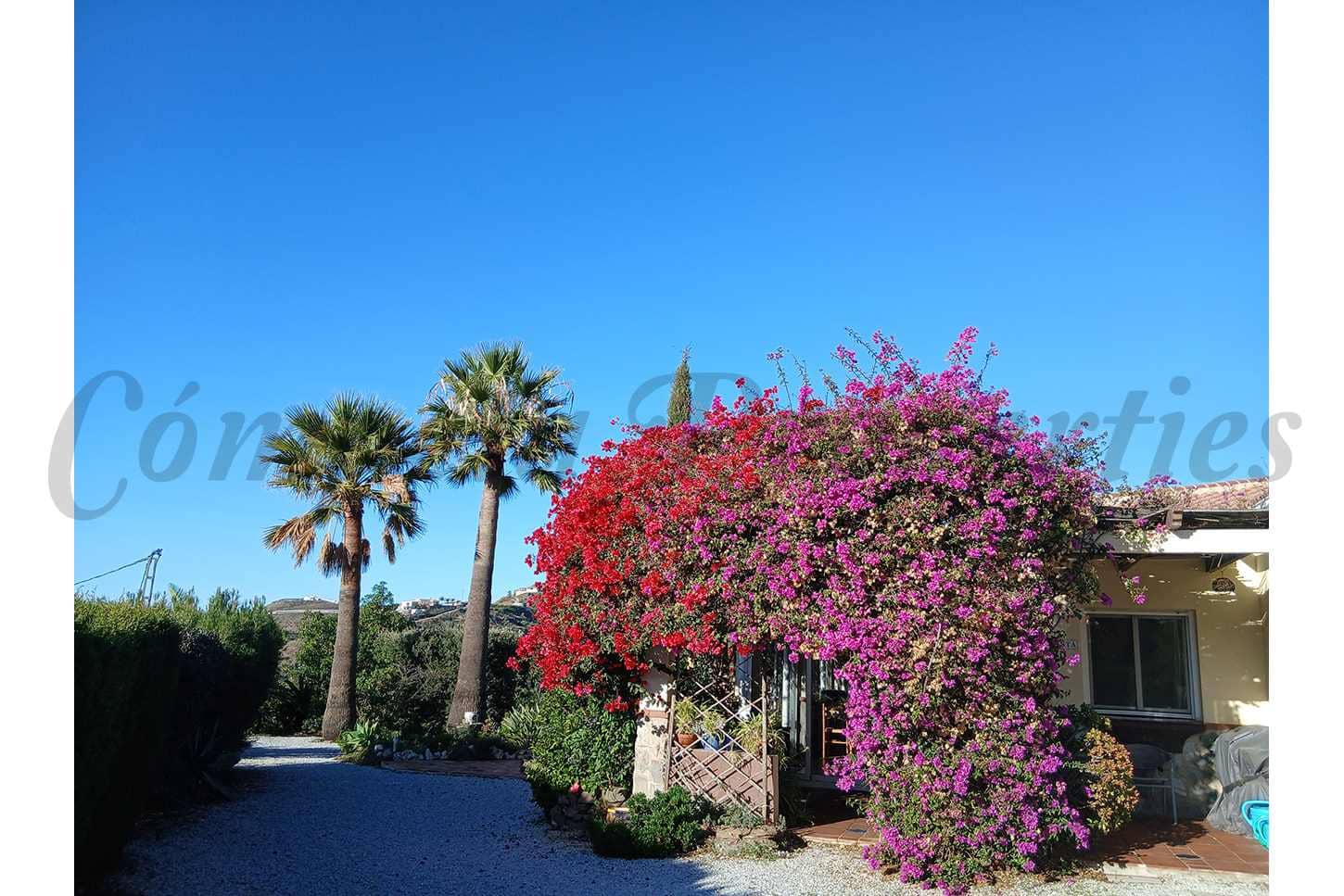 2 chambre Finca/Maison de Campagne à vendre à Torrox avec piscine garage - 245 000 € (Ref: 9473453)