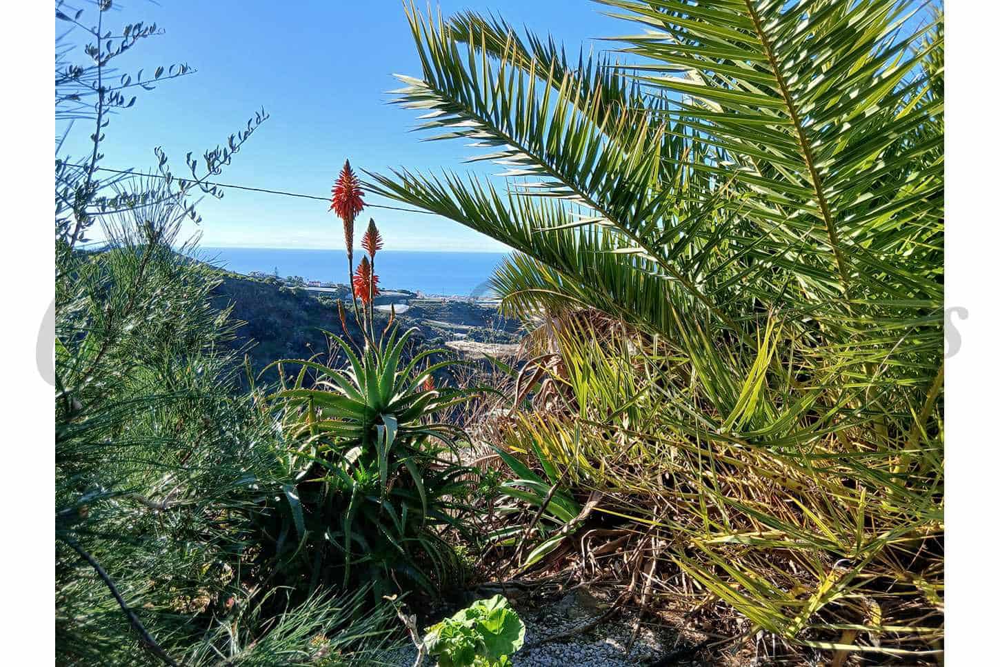 2 chambre Finca/Maison de Campagne à vendre à Torrox avec piscine garage - 245 000 € (Ref: 9473453)