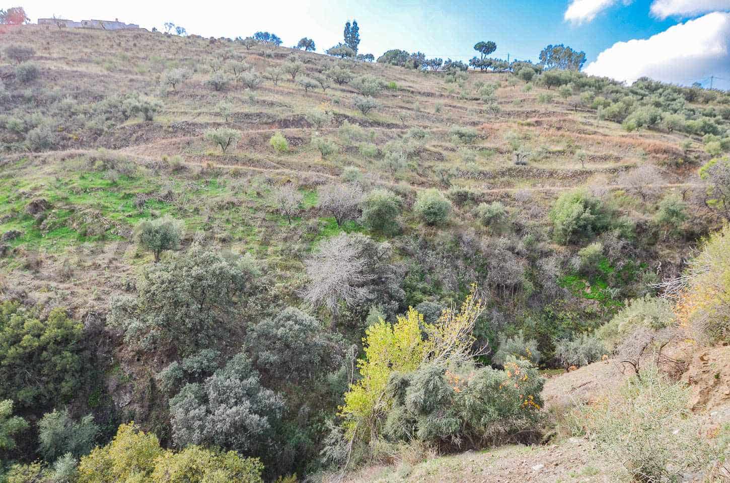 2 Zimmer Villa zu vermieten in Archez - 1.125 € (Ref: 9474449)