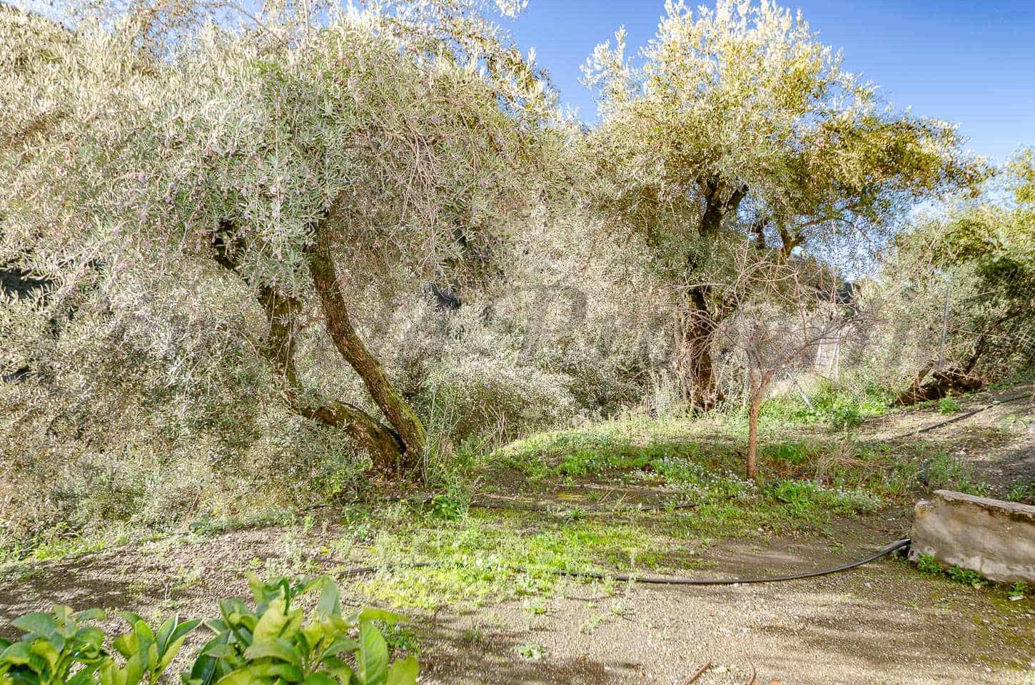 3 bedroom Townhouse for sale in Competa with pool - € 228,000 (Ref: 9506821)