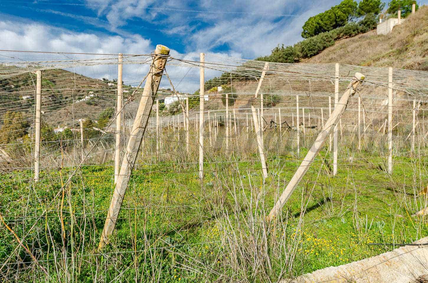 Finca/Landehus til salg i Competa - € 212.000 (Ref: 9572210)