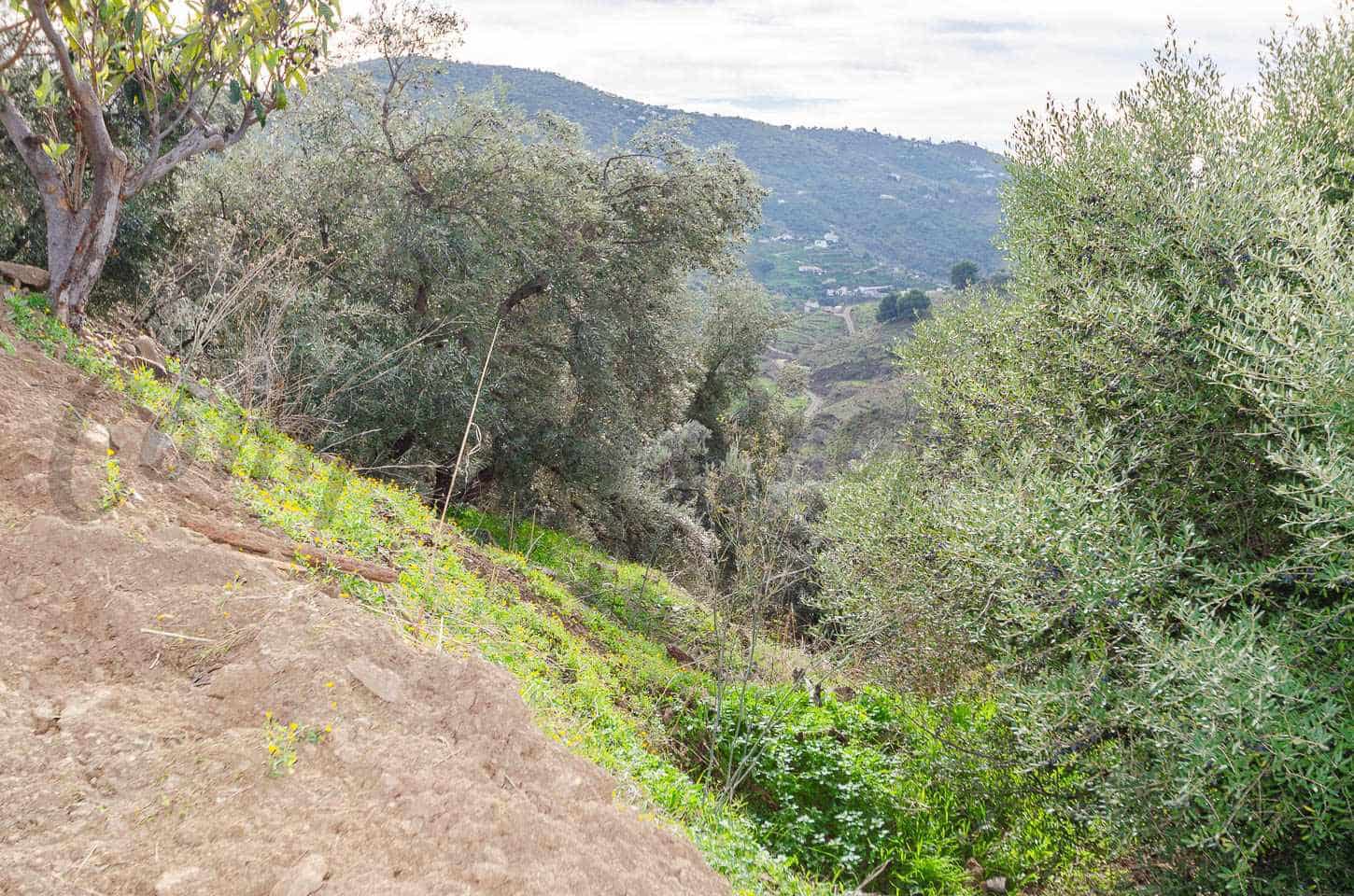 Finca/Landehus til salg i Competa - € 110.000 (Ref: 9572277)