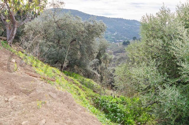 Finca/Landehus til salg i Cómpeta - € 110.000 (Ref: 9572277)