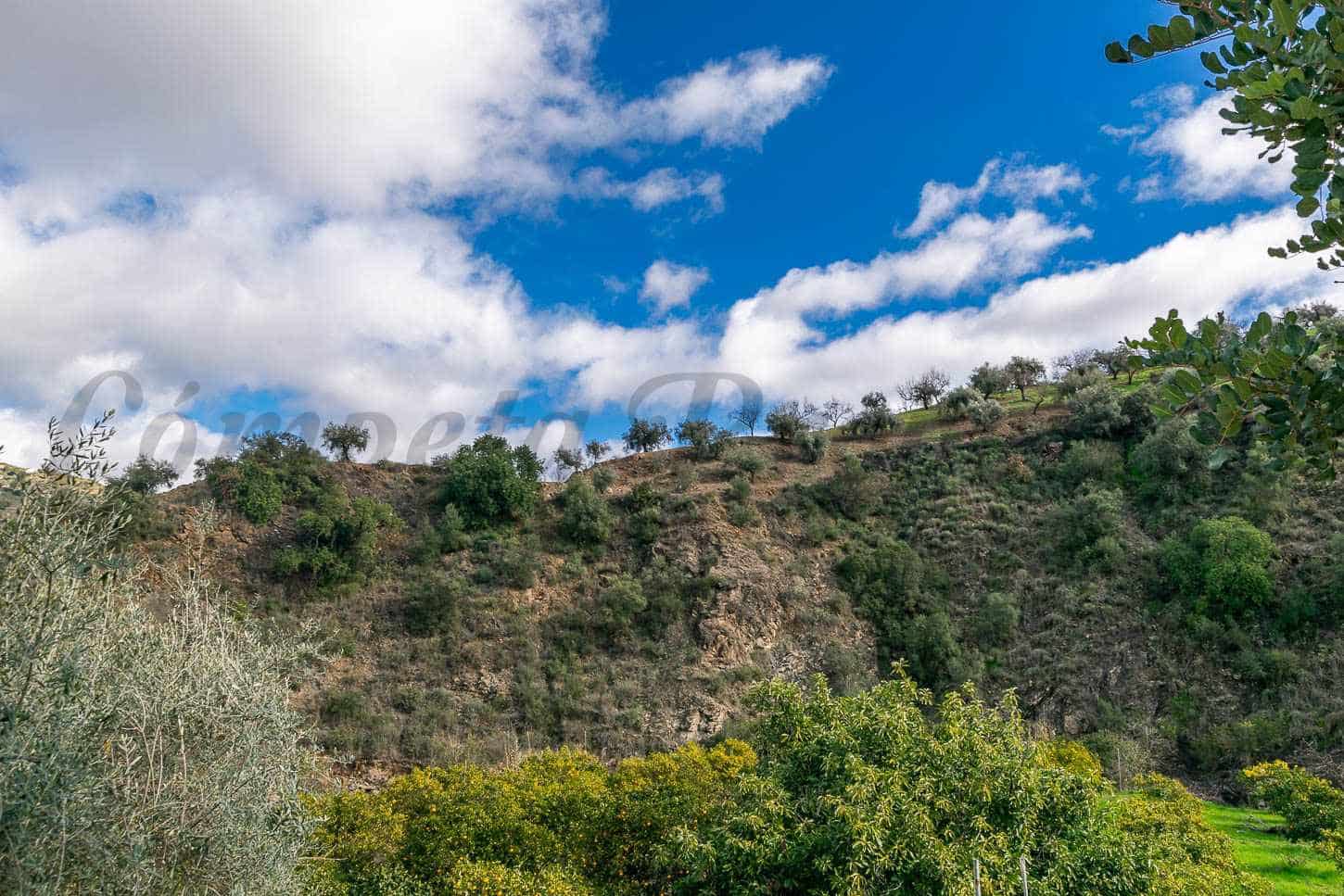 5 sovrum Villa till salu i Comares med pool - 295 000 € (Ref: 9575035)