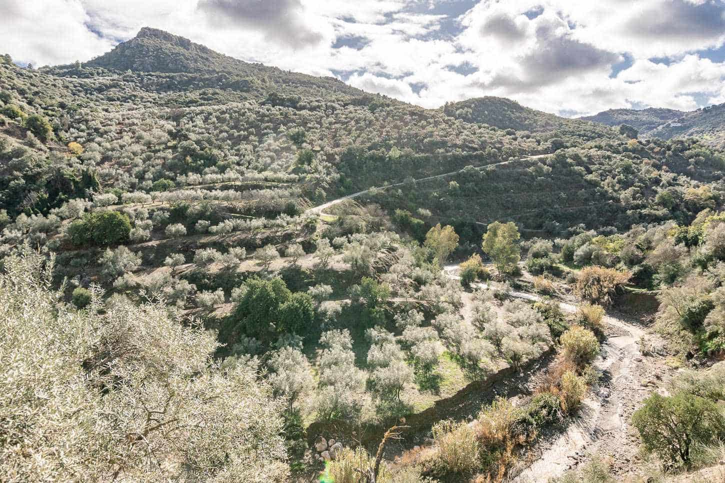 5 sovrum Villa till salu i Comares med pool - 295 000 € (Ref: 9575035)