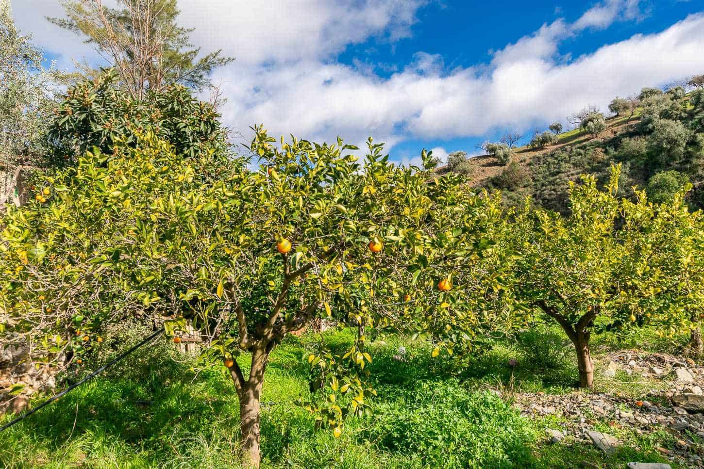 5 sovrum Villa till salu i Comares med pool - 295 000 € (Ref: 9575035)