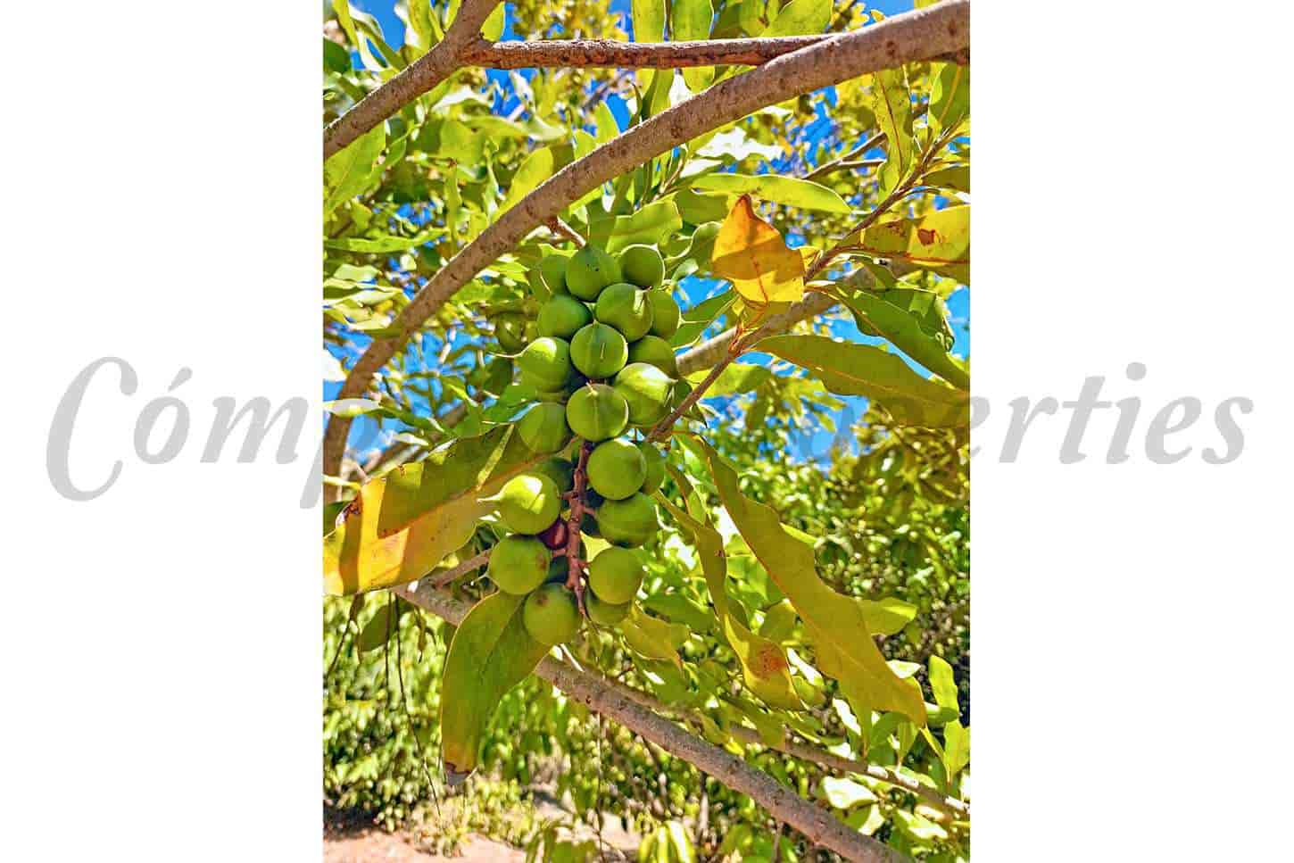 4 camera da letto Villa in vendita in Velez-Malaga con piscina - 890.000 € (Rif: 9631384)