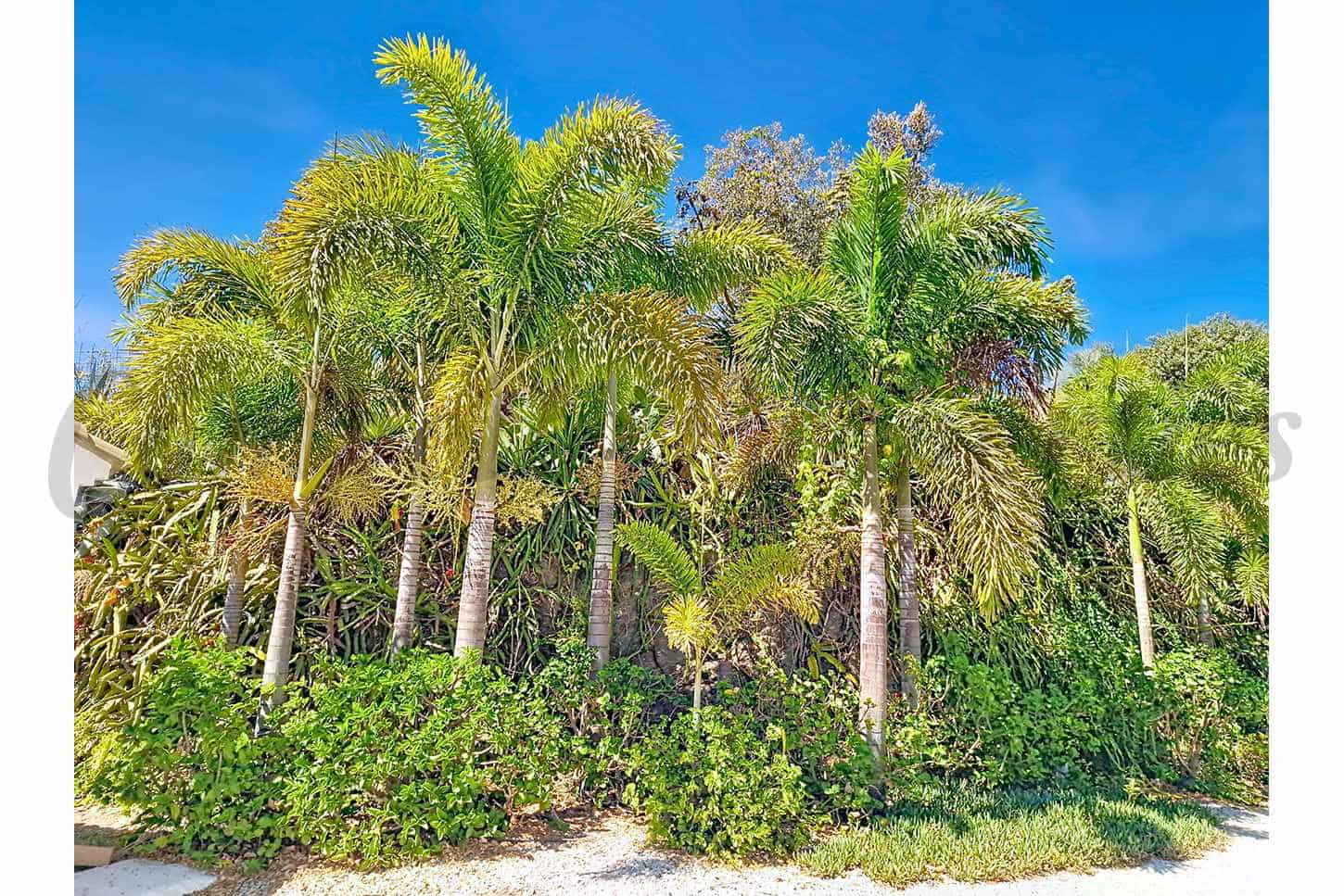 4 camera da letto Villa in vendita in Velez-Malaga con piscina - 890.000 € (Rif: 9631384)