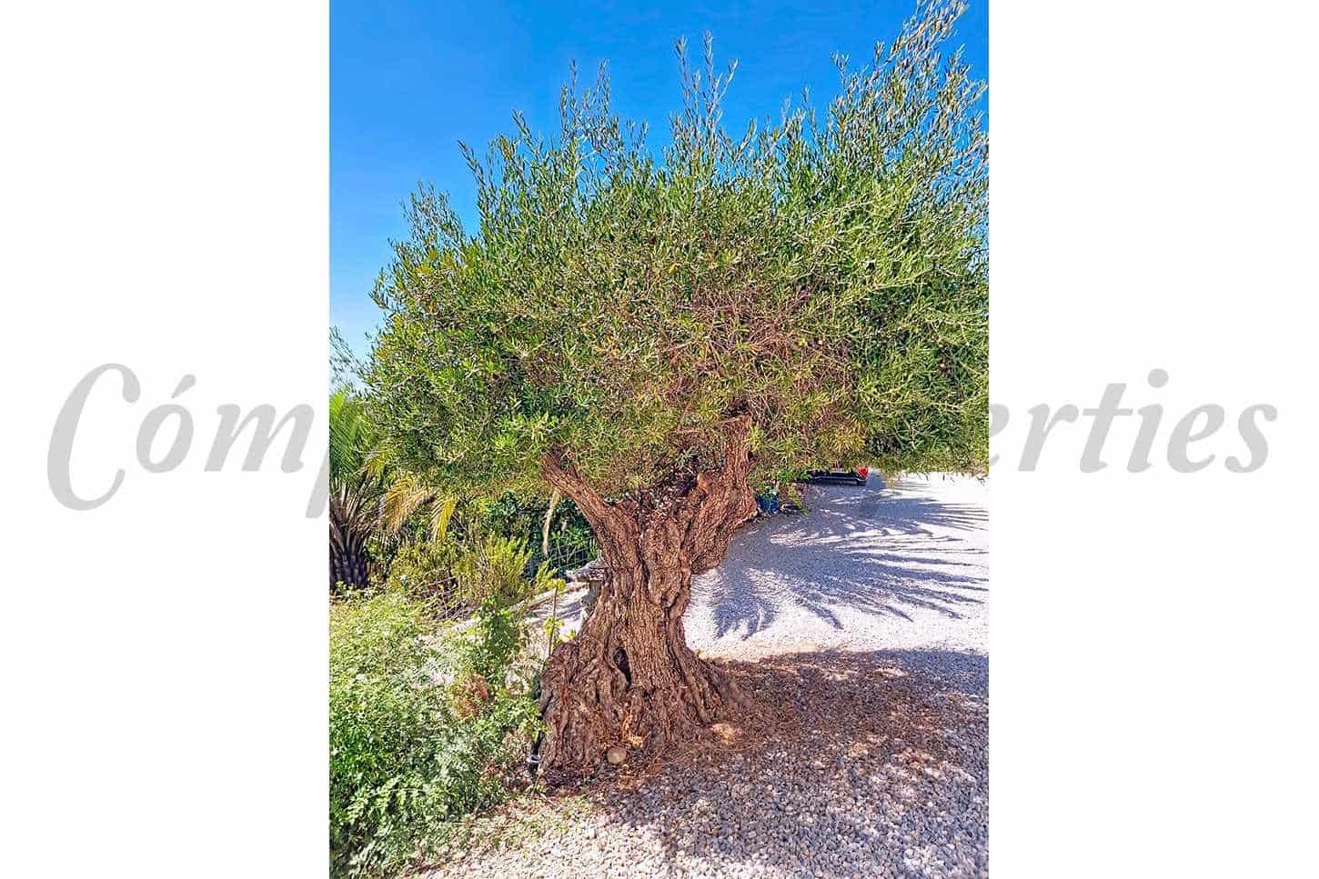 4 camera da letto Villa in vendita in Velez-Malaga con piscina - 890.000 € (Rif: 9631384)