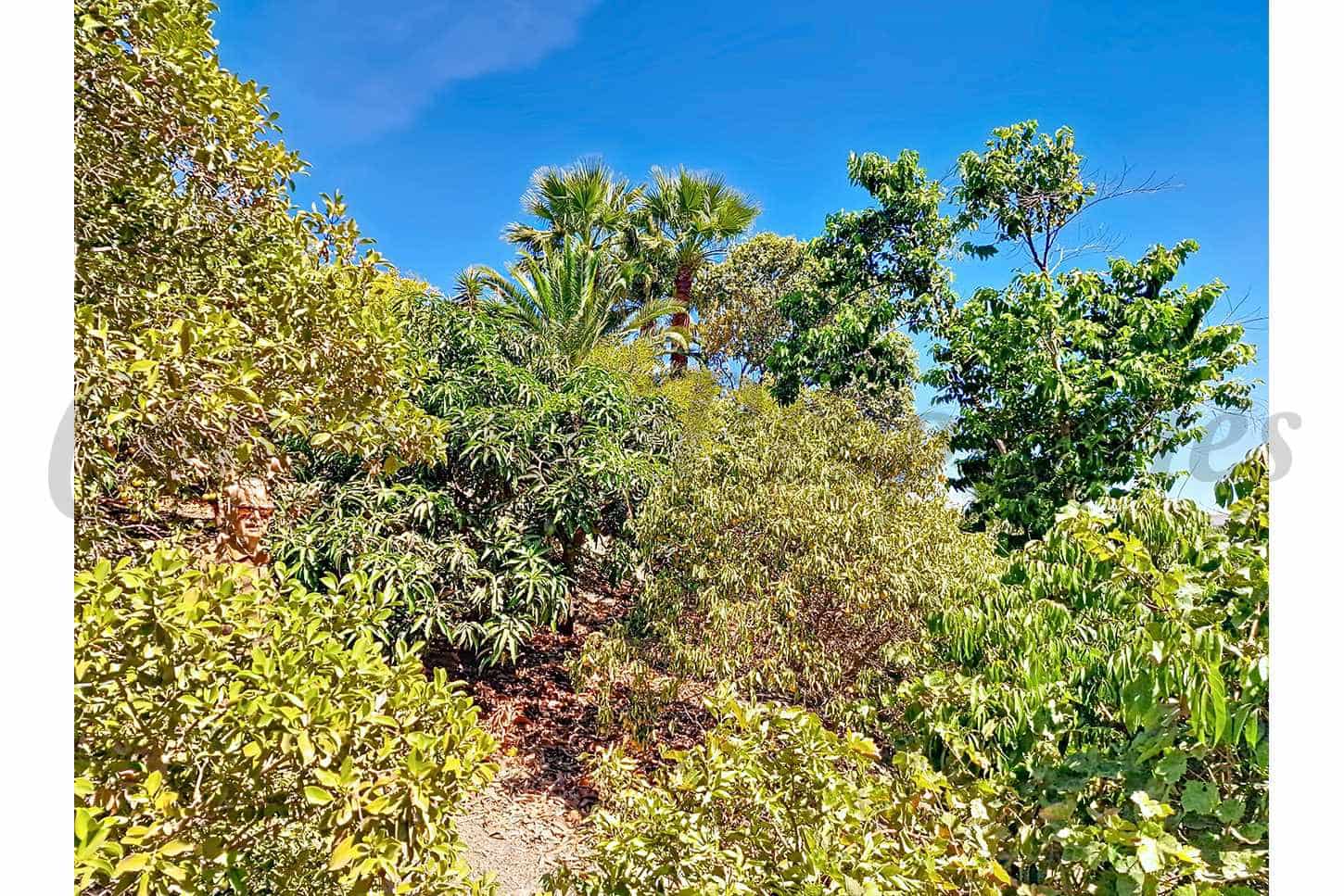 4 camera da letto Villa in vendita in Velez-Malaga con piscina - 890.000 € (Rif: 9631384)