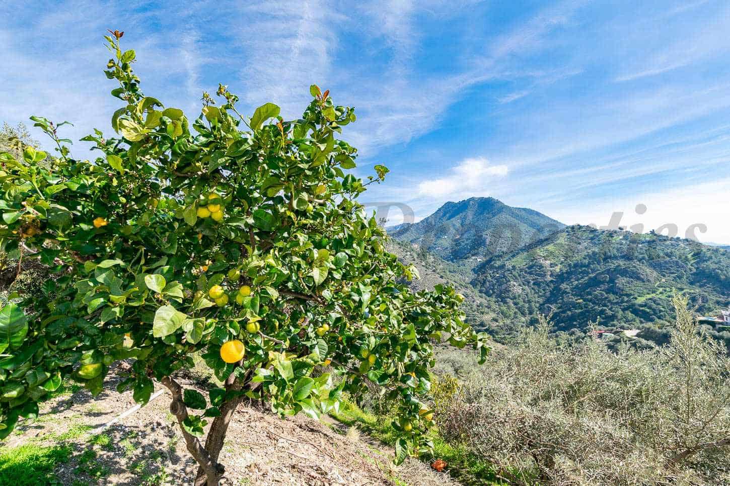 3 soveværelse Villa til salg i Competa med swimmingpool - € 485.000 (Ref: 9715210)