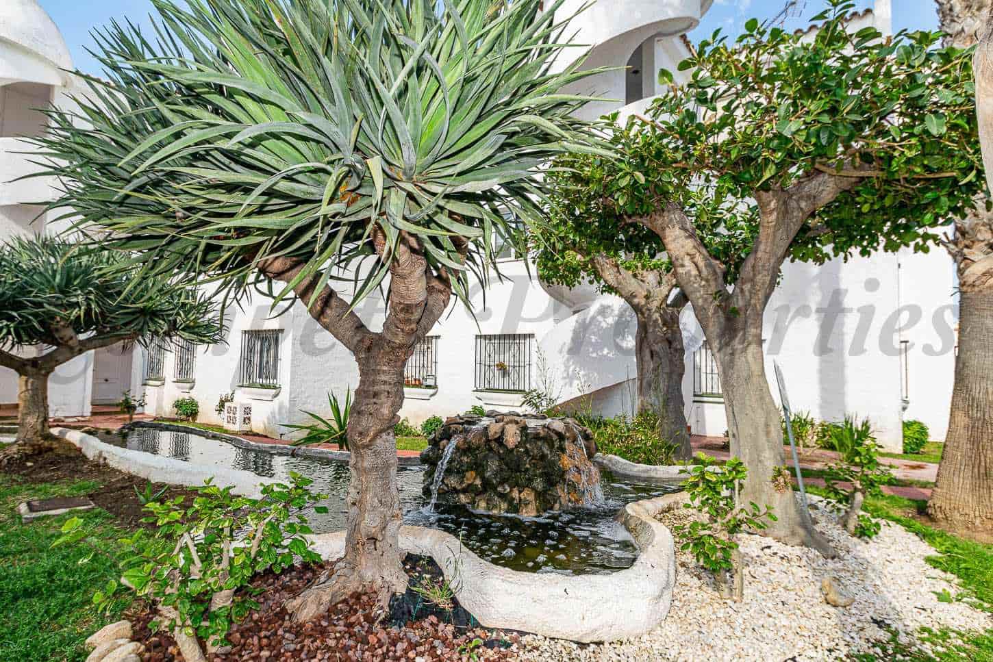 1 sypialnia Apartament do wynajęcia w Torrox-Costa z basenem - 850 € (Ref: 9803705)