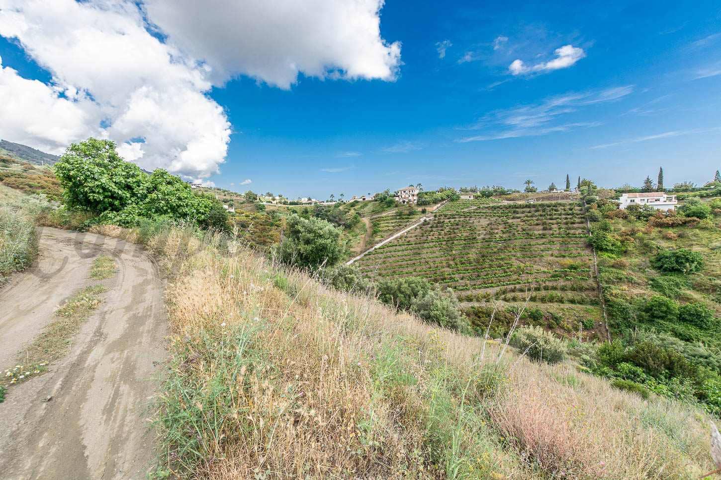 Teren niezagospodarowany na sprzedaż w Frigiliana - 25 000 € (Ref: 9830340)