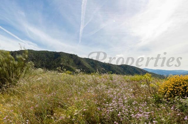 Teren niezagospodarowany na sprzedaż w Sedella - 144 000 € (Ref: 9836837)