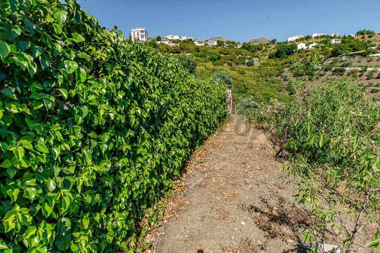 2 soverom Villa til salgs i Canillas de Albaida med garasje - € 297 400 (Ref: 9874324)