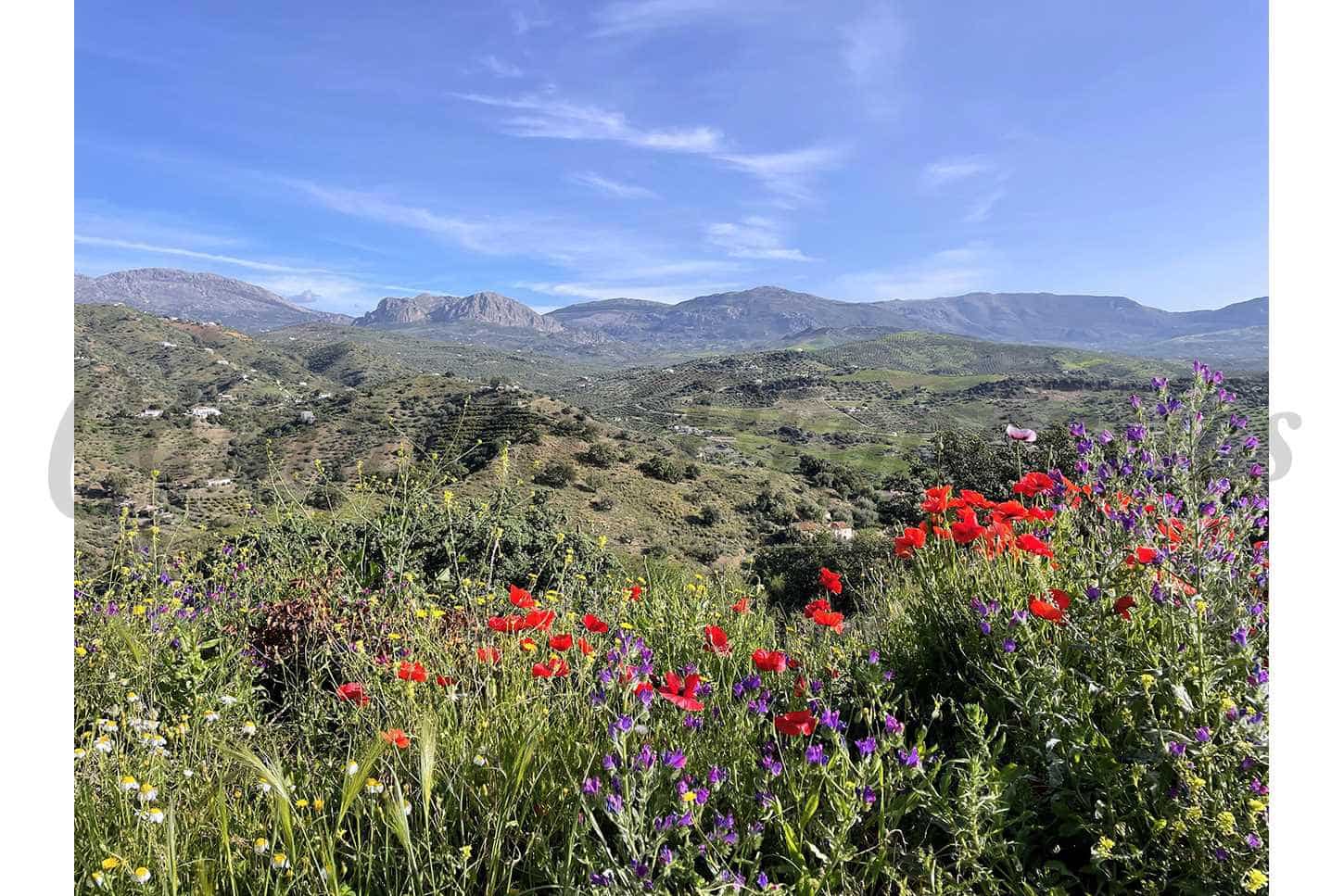 3 Zimmer Villa zu verkaufen in Comares mit Garage - 369.500 € (Ref: 9914055)