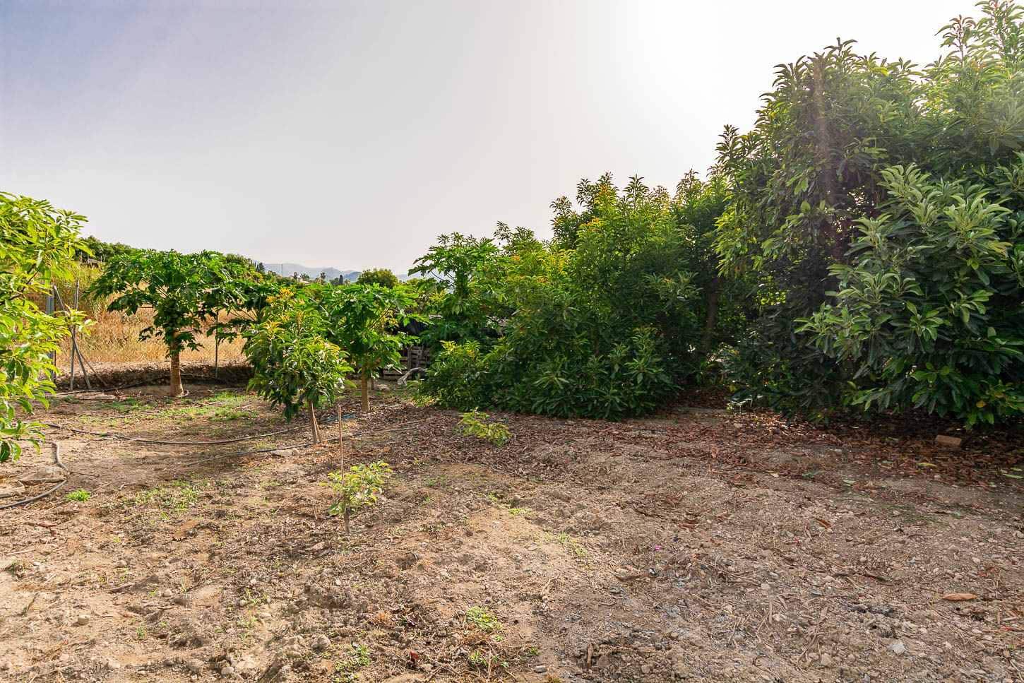 1 bedroom Finca/Country House for sale in Nerja - € 140,000 (Ref: 9983205)