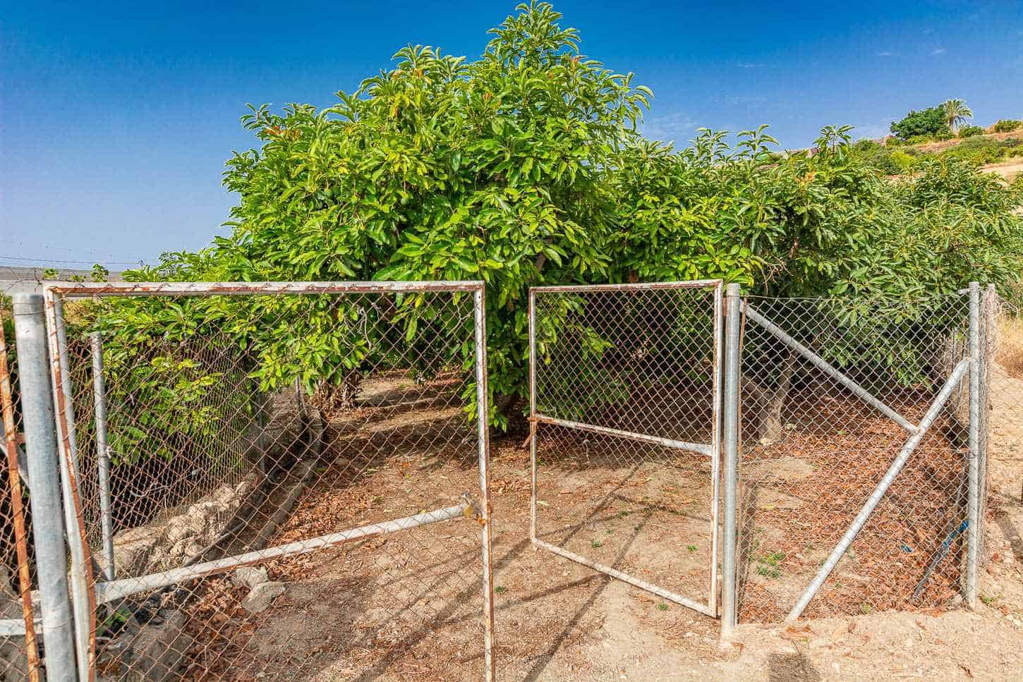 1 bedroom Finca/Country House for sale in Nerja - € 140,000 (Ref: 9983205)
