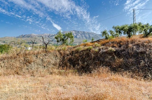 Finca/Casa Rural en Sedella en venta - 55.500 € (Ref: 9989273)