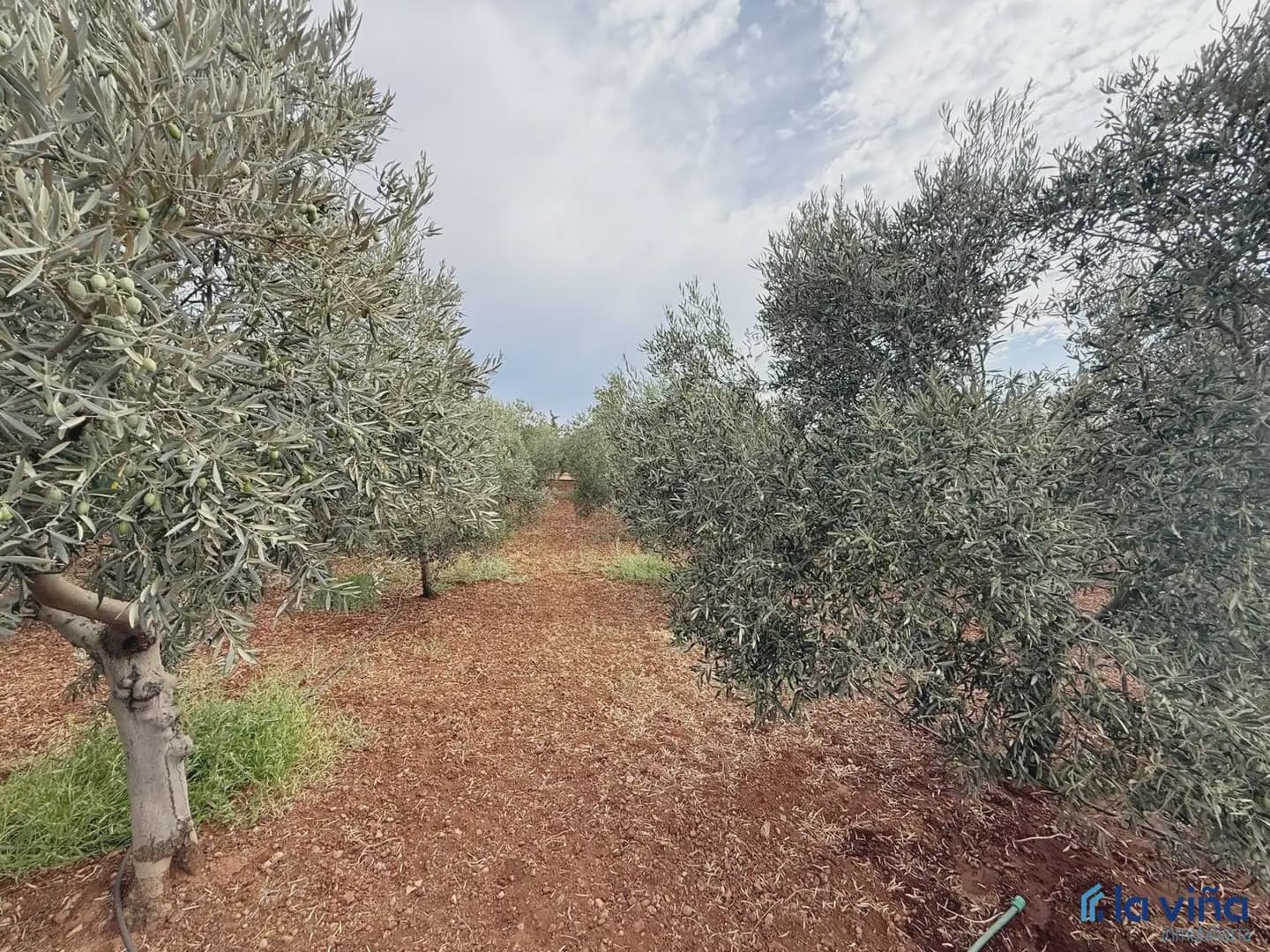 Finka/Dom wiejski na sprzedaż w Antequera - 249 000 € (Ref: 10001000)