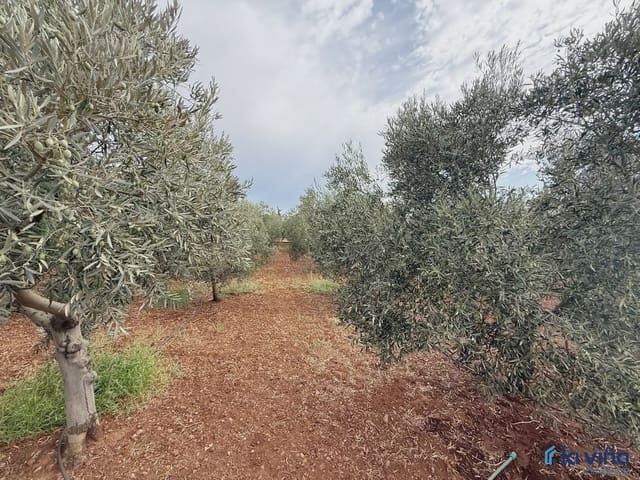 Finka/Dom wiejski na sprzedaż w Antequera - 249 000 € (Ref: 10001000)