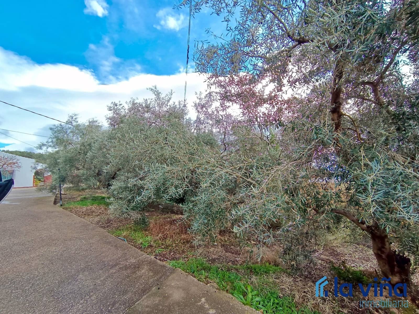 3 Zimmer Finca/Landgut zu verkaufen in Villanueva de la Concepcion - 184.900 € (Ref: 8066795)