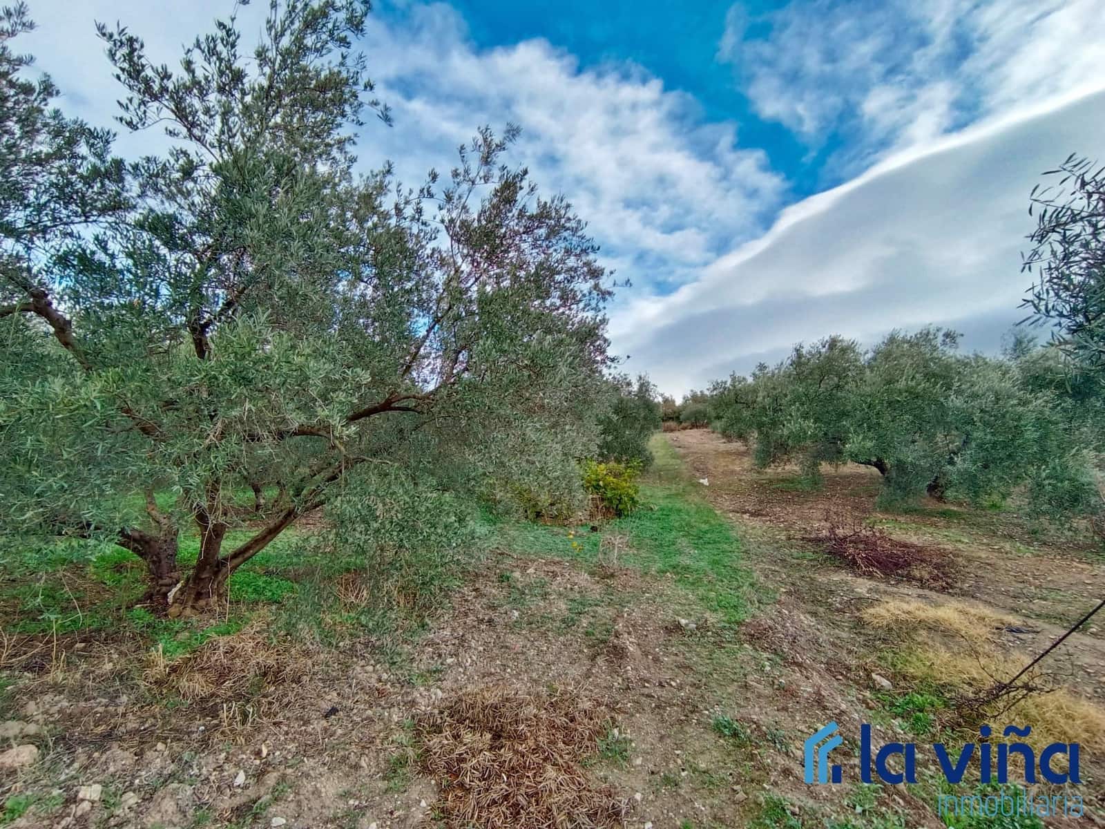 3 Zimmer Finca/Landgut zu verkaufen in Villanueva de la Concepcion - 184.900 € (Ref: 8066795)