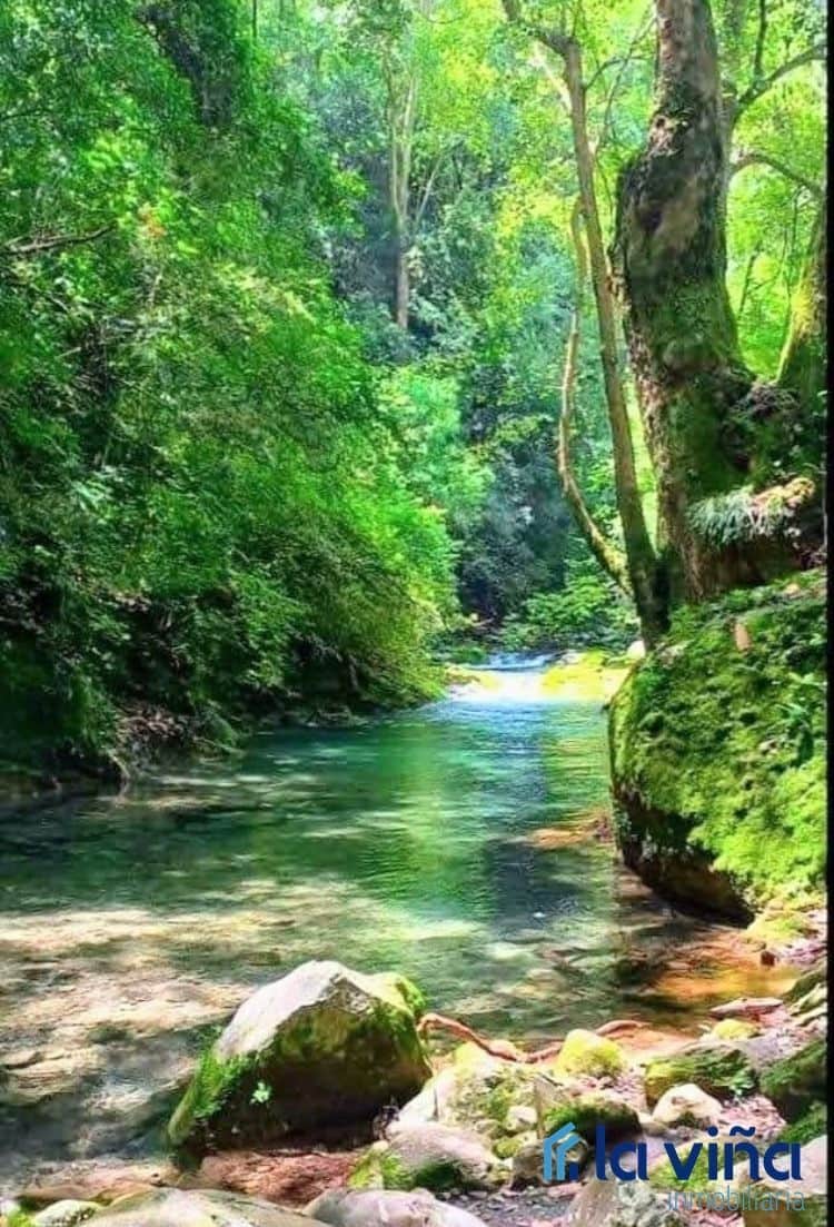 8 soveværelse Finca/Landehus til salg i El Burgo med garage - € 603.990 (Ref: 8066813)