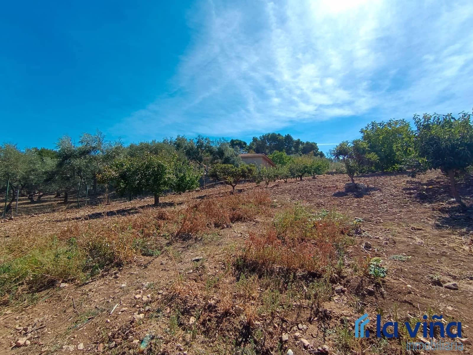 8 soveværelse Finca/Landehus til salg i El Burgo med garage - € 603.990 (Ref: 8066813)