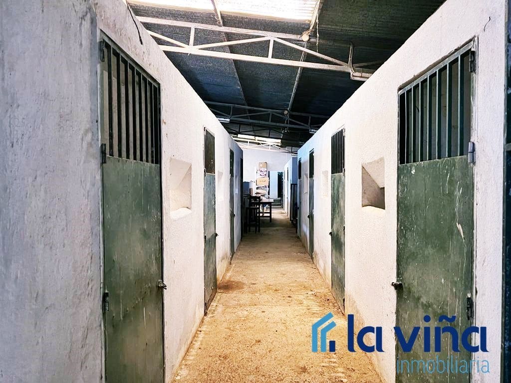 5 soveværelse Finca/Landehus til salg i Archidona med swimmingpool - € 1.200.000 (Ref: 8066814)