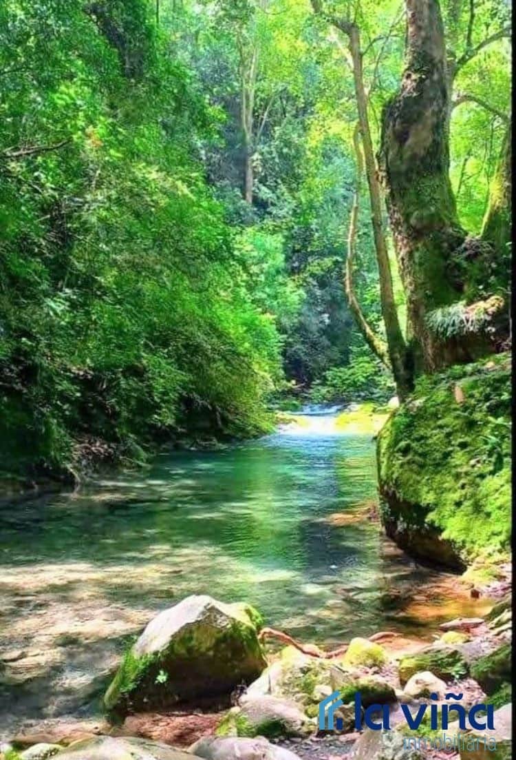 4 soveværelse Finca/Landehus til salg i El Burgo med garage - € 394.000 (Ref: 8066821)