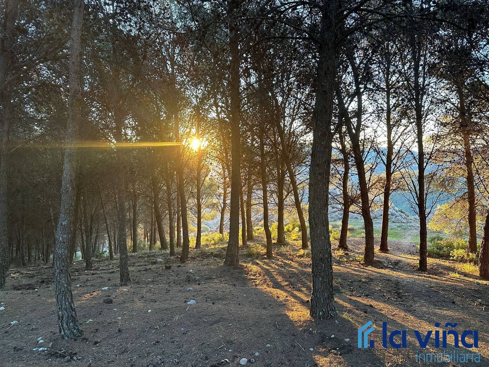 4 soveværelse Finca/Landehus til salg i El Burgo med garage - € 394.000 (Ref: 8066821)