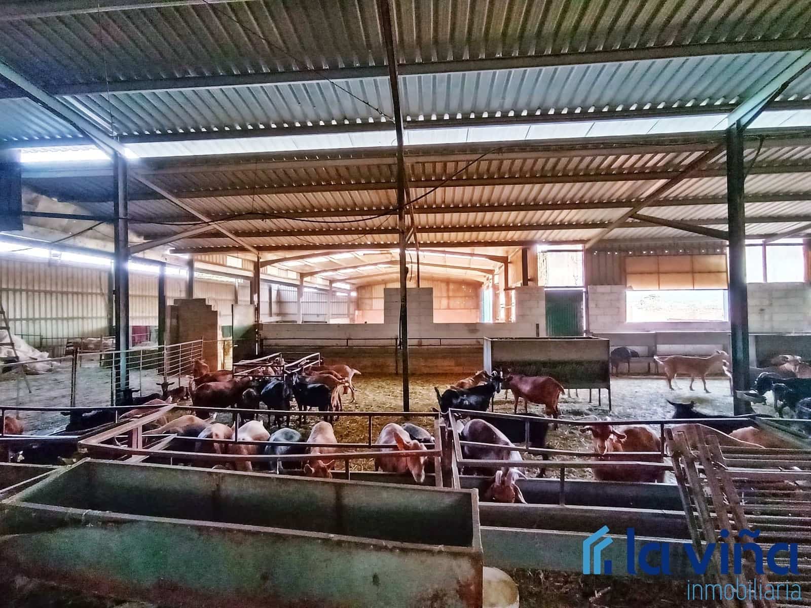 3 sypialnia Finka/Dom wiejski na sprzedaż w Mollina - 420 000 € (Ref: 8066869)