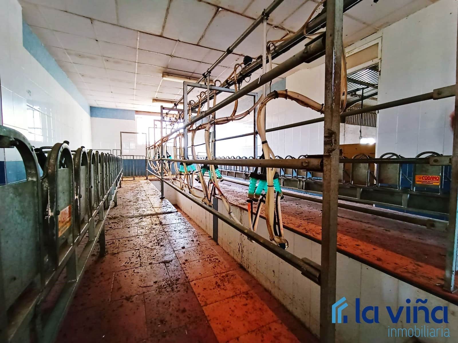 3 sypialnia Finka/Dom wiejski na sprzedaż w Mollina - 420 000 € (Ref: 8066869)