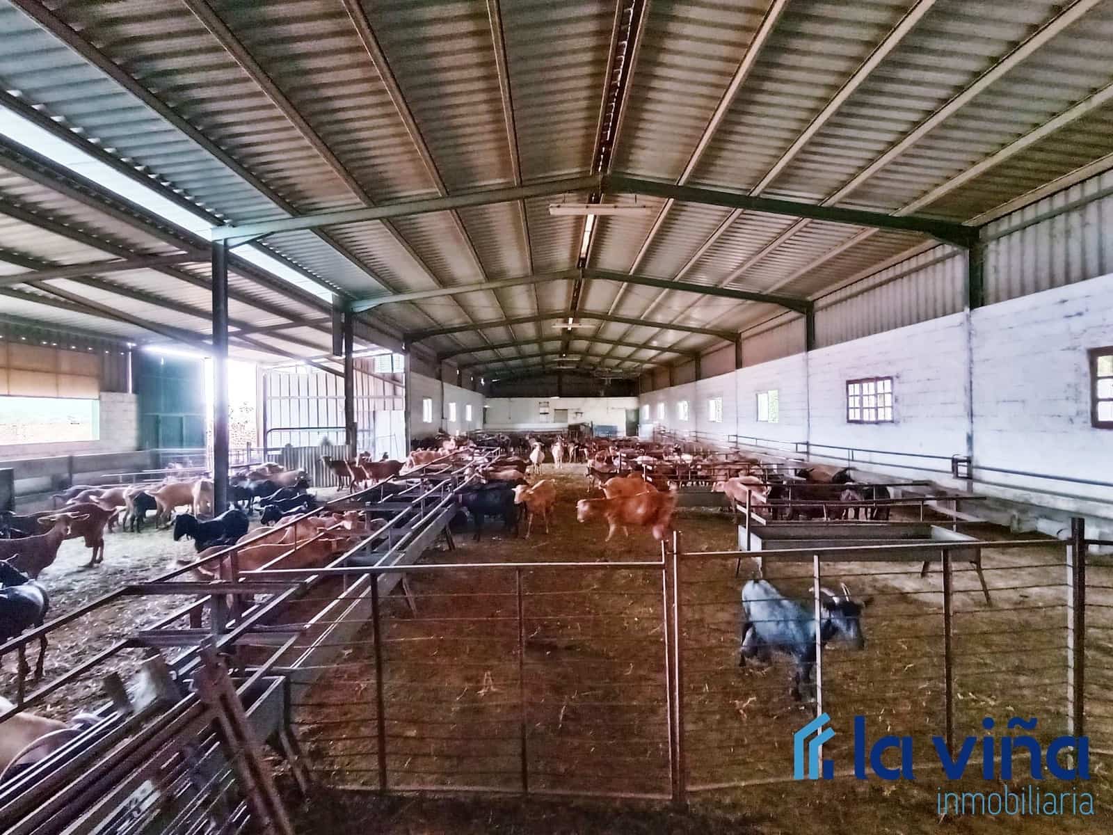 3 sypialnia Finka/Dom wiejski na sprzedaż w Mollina - 420 000 € (Ref: 8066869)