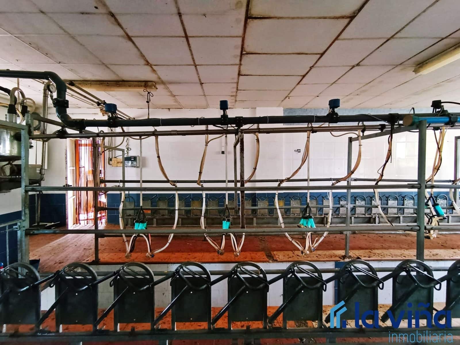 3 sypialnia Finka/Dom wiejski na sprzedaż w Mollina - 420 000 € (Ref: 8066869)