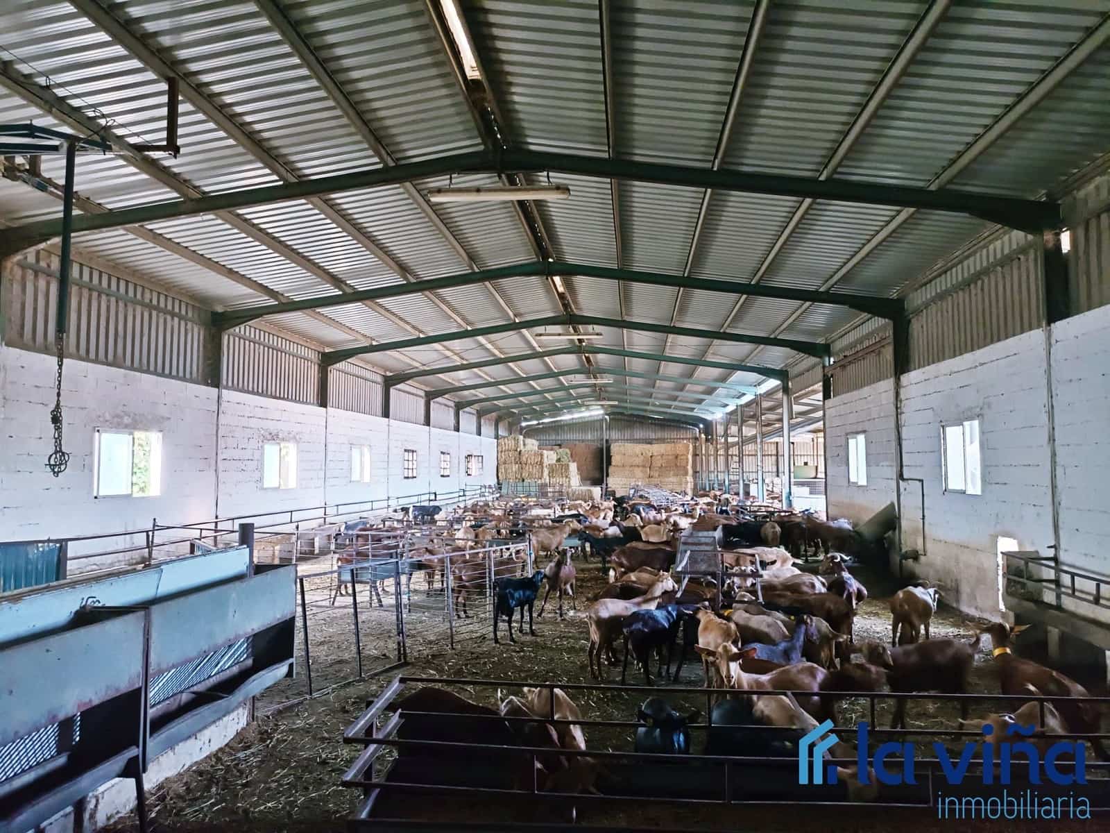 3 sypialnia Finka/Dom wiejski na sprzedaż w Mollina - 420 000 € (Ref: 8066869)