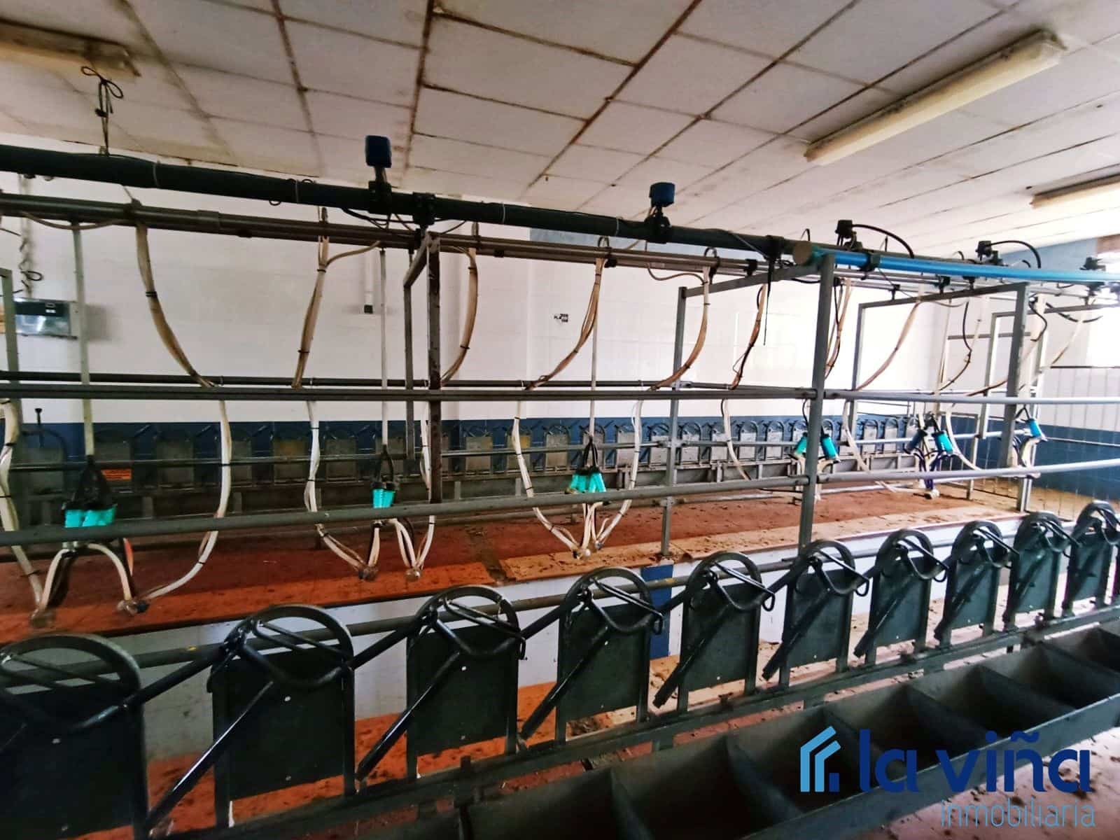 3 sypialnia Finka/Dom wiejski na sprzedaż w Mollina - 420 000 € (Ref: 8066869)