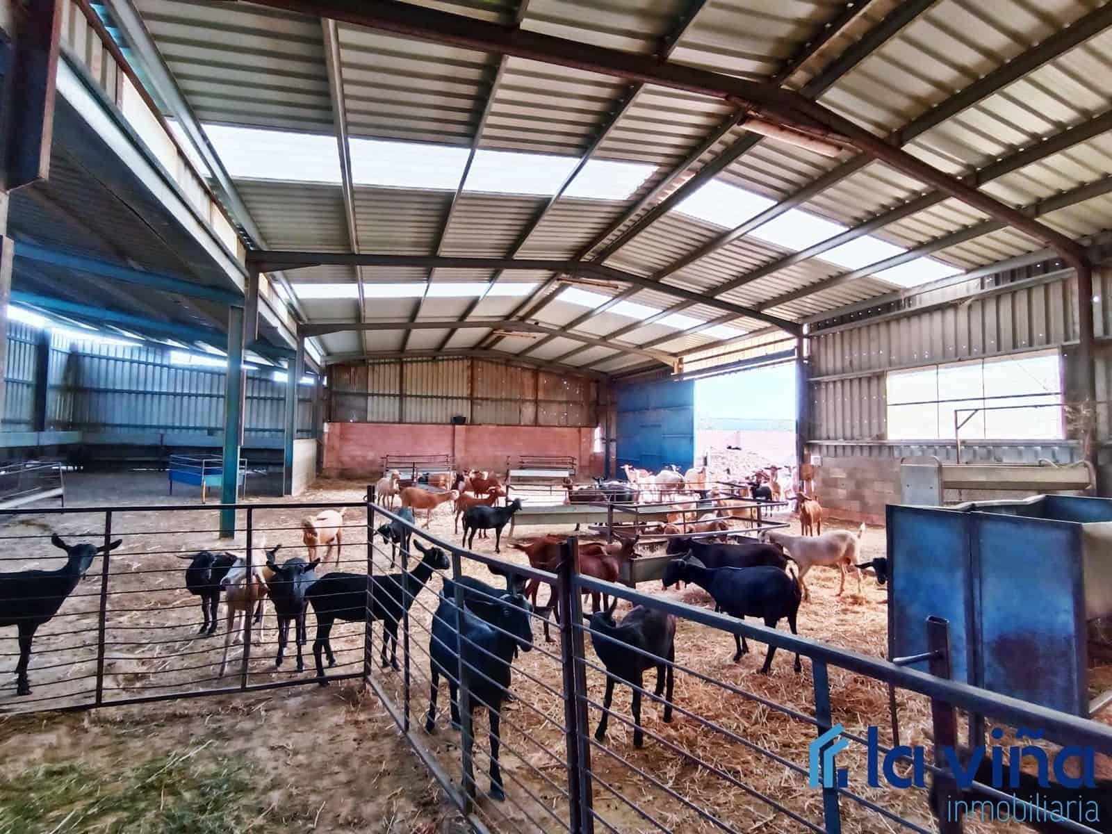 3 sypialnia Finka/Dom wiejski na sprzedaż w Mollina - 420 000 € (Ref: 8066869)