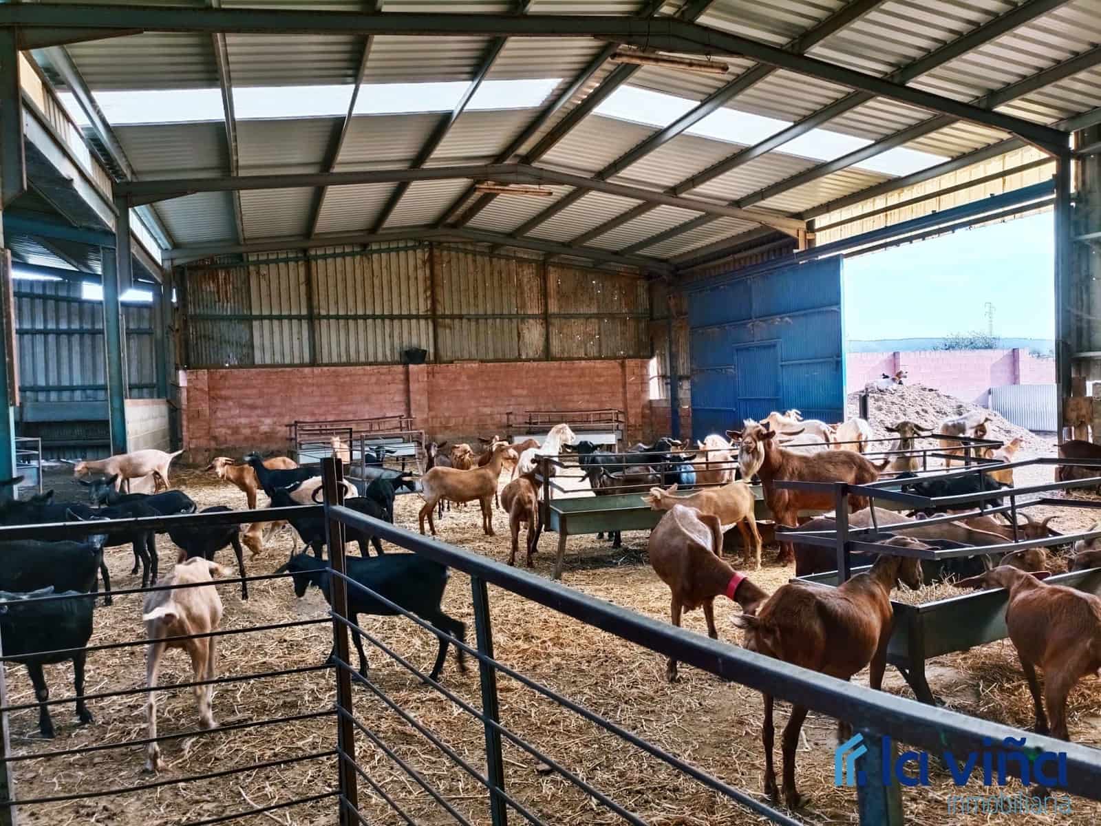 3 sypialnia Finka/Dom wiejski na sprzedaż w Mollina - 420 000 € (Ref: 8066869)