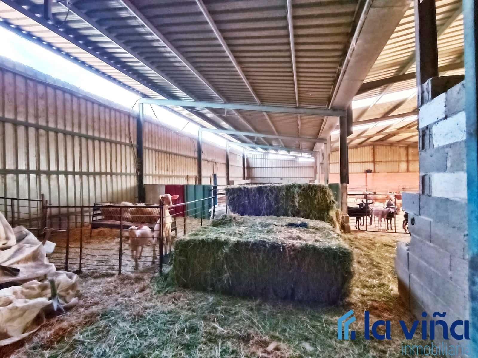 3 sypialnia Finka/Dom wiejski na sprzedaż w Mollina - 420 000 € (Ref: 8066869)